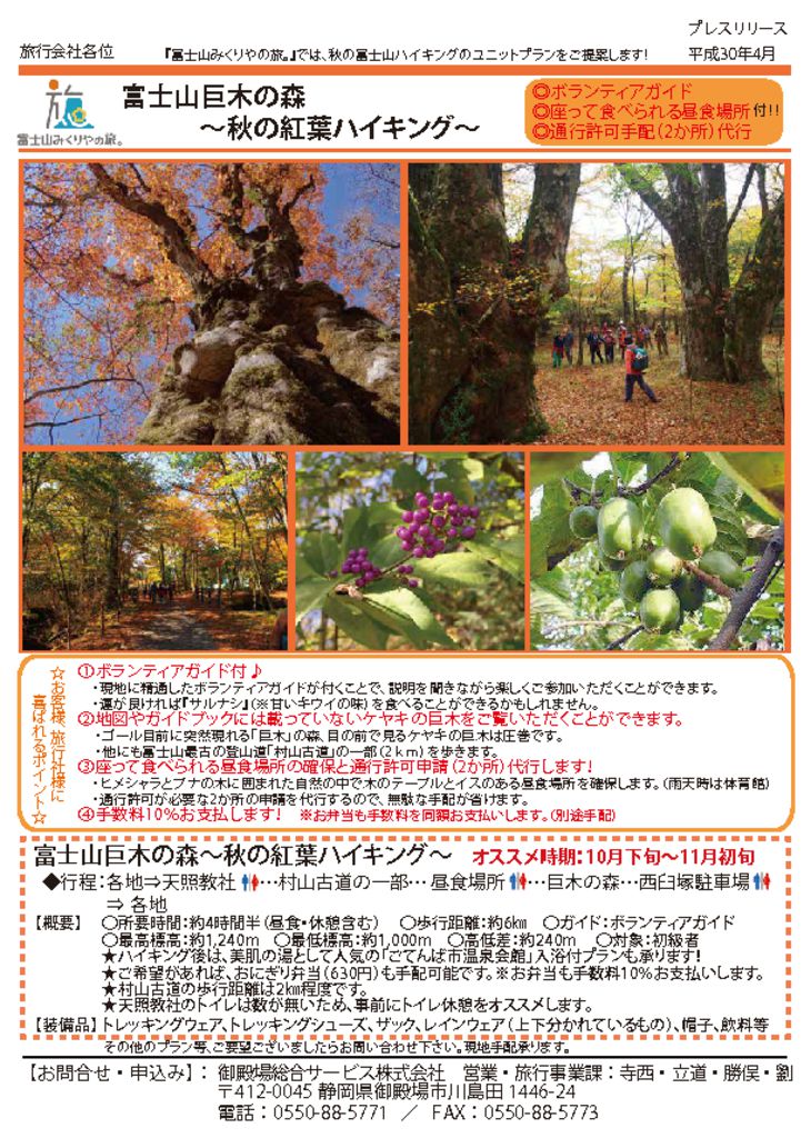 プレスリリース 巨木の森 (最新)のサムネイル